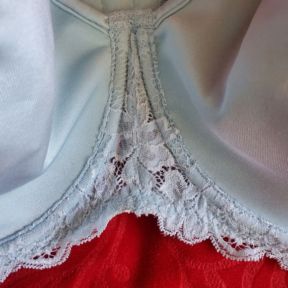42DDD - Addition-Elle Blue Underwire Bra w/ Lace Mesh - Convertible Strap - EUC - Picture 8 of 10